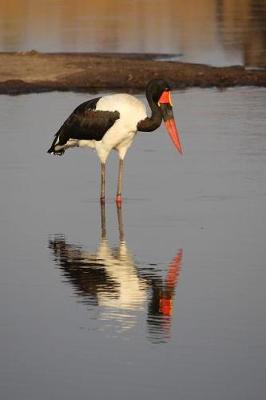 Book cover for Saddle Billed Stork in Zimbabwe, Africa Journal