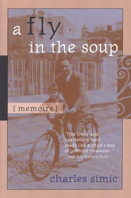 Book cover for A Fly in the Soup