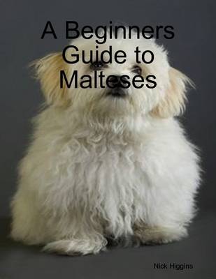 Book cover for A Beginners Guide to Malteses