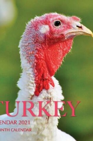 Cover of Turkey Calendar 2021