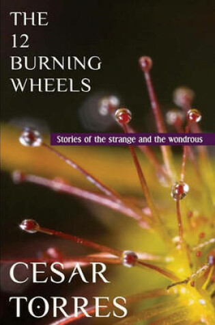 Cover of The 12 Burning Wheels