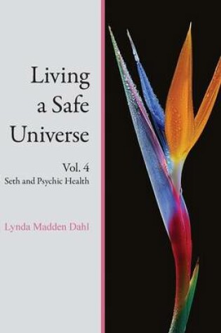 Cover of Living a Safe Universe, Vol. 4