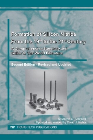 Cover of Formation of Silicon Nitride from the 19th to the 21st Century