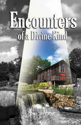 Book cover for Encounters of a Divine Kind