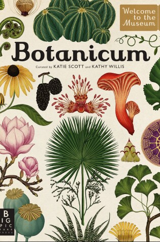 Cover of Botanicum