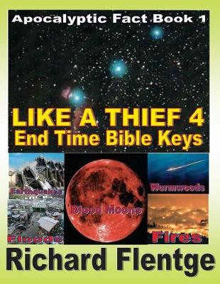 Book cover for Like A Theif 4 End Time Bible Keys