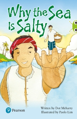 Book cover for Bug Club Independent Fiction Year Two Lime Plus Why the Sea is Salty