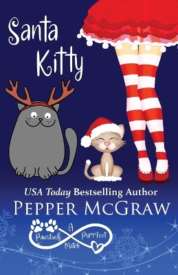 Book cover for Santa Kitty