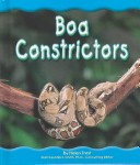 Book cover for Rain Forest Animals Set