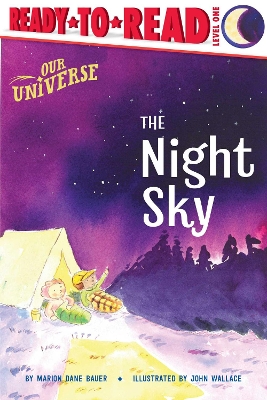 Book cover for The Night Sky