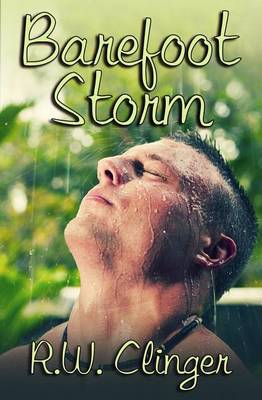 Book cover for Barefoot Storm