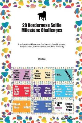 Book cover for 20 Bordernese Selfie Milestone Challenges