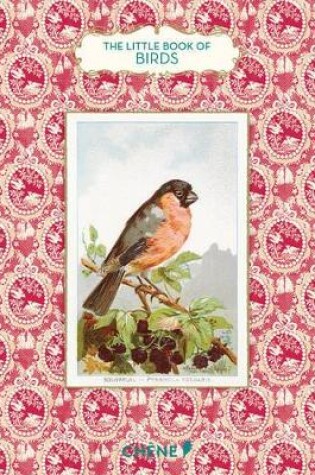Cover of Little Book of Birds