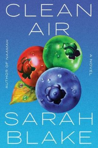 Cover of Clean Air