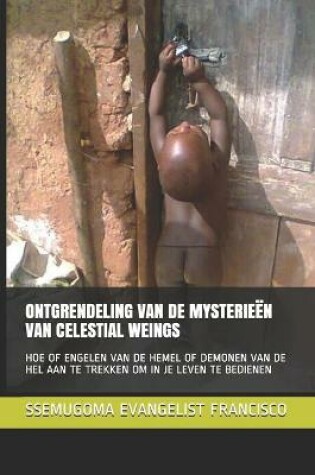 Cover of Ontgrendeling Van de Mysterieen Van Celestial Weings