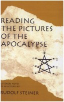 Book cover for Reading the Pictures of the Apocalypse