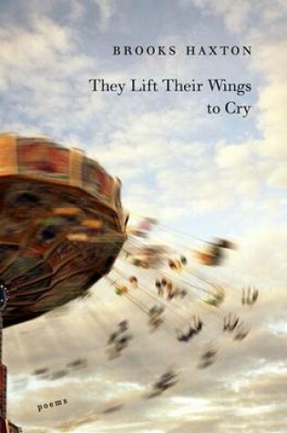 Cover of They Lift Their Wings to Cry