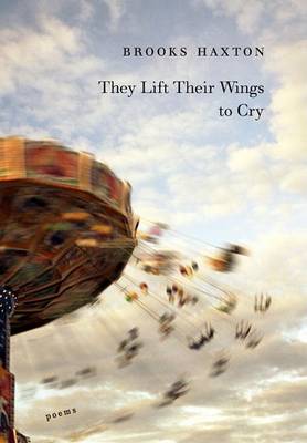 Book cover for They Lift Their Wings to Cry