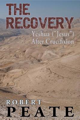 Book cover for The Recovery