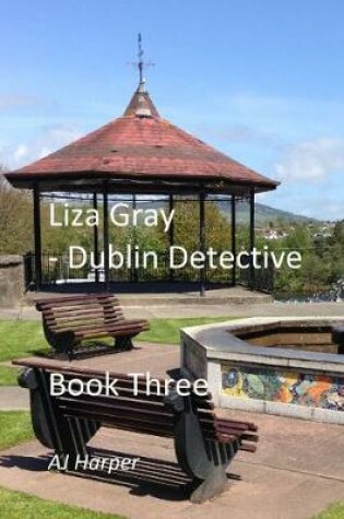 Cover of Liza Gray - Dublin Detective Book Three