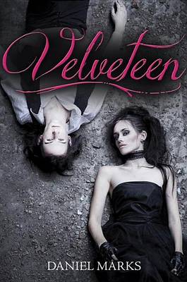 Book cover for Velveteen
