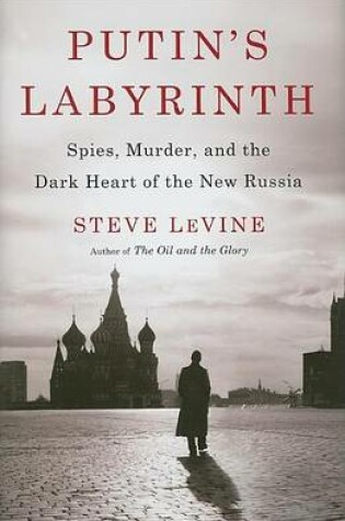 Cover of Putin's Labyrinth: Spies, Murder, and the Dark Heart of the New Russia