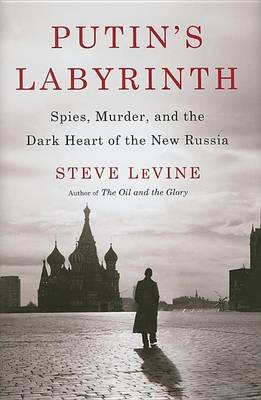 Book cover for Putin's Labyrinth: Spies, Murder, and the Dark Heart of the New Russia