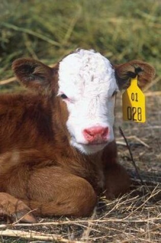 Cover of Farm Journal Cute White Brown Calf Laying Down