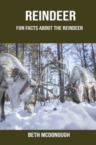 Cover of Reindeer