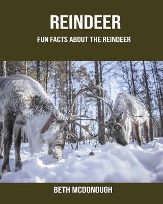 Book cover for Reindeer