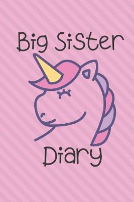 Book cover for Big Sister Diary