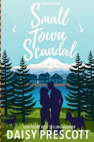 Cover of Small Town Scandal