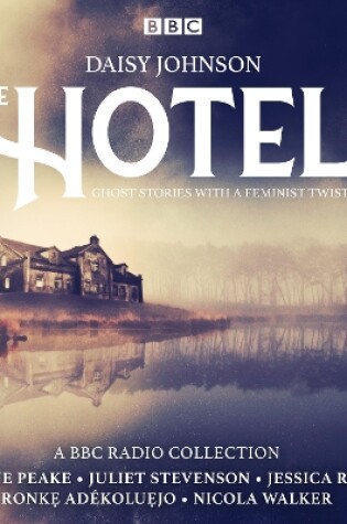 Cover of The Hotel: A Series of ghost stories with a feminist twist