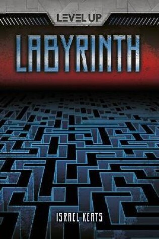 Cover of Labyrinth