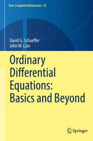 Cover of Ordinary Differential Equations: Basics and Beyond
