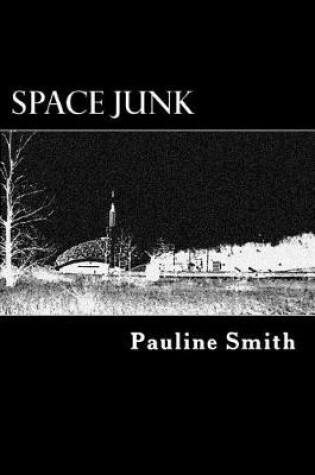 Cover of Space Junk