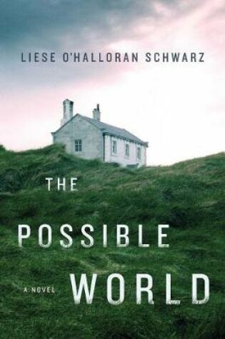 Cover of The Possible World