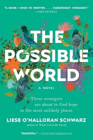 Cover of The Possible World