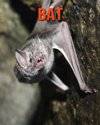 Book cover for Bat