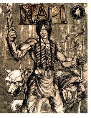 Book cover for Napi