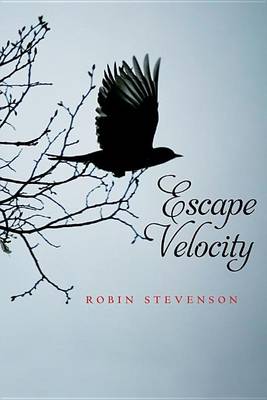 Book cover for Escape Velocity