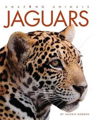 Book cover for Jaguars