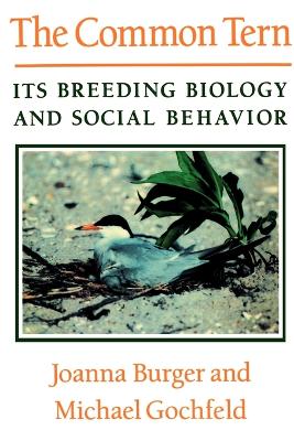 Book cover for The Common Tern