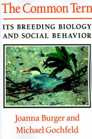 Cover of The Common Tern