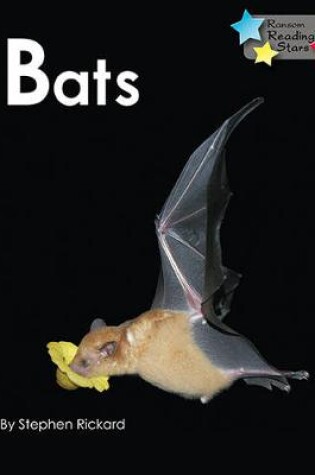 Cover of Bats 6-Pack