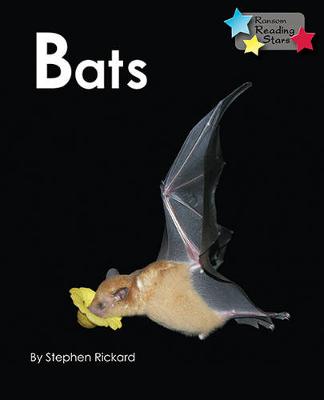 Book cover for Bats 6-Pack