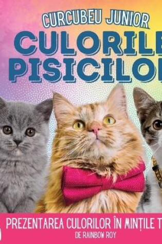 Cover of Curcubeu Junior, Culorile Pisicilor