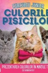 Book cover for Curcubeu Junior, Culorile Pisicilor