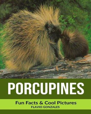 Book cover for Porcupines
