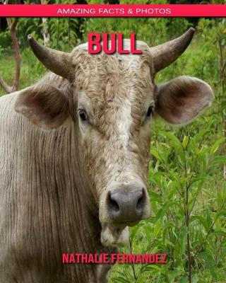 Book cover for Bull